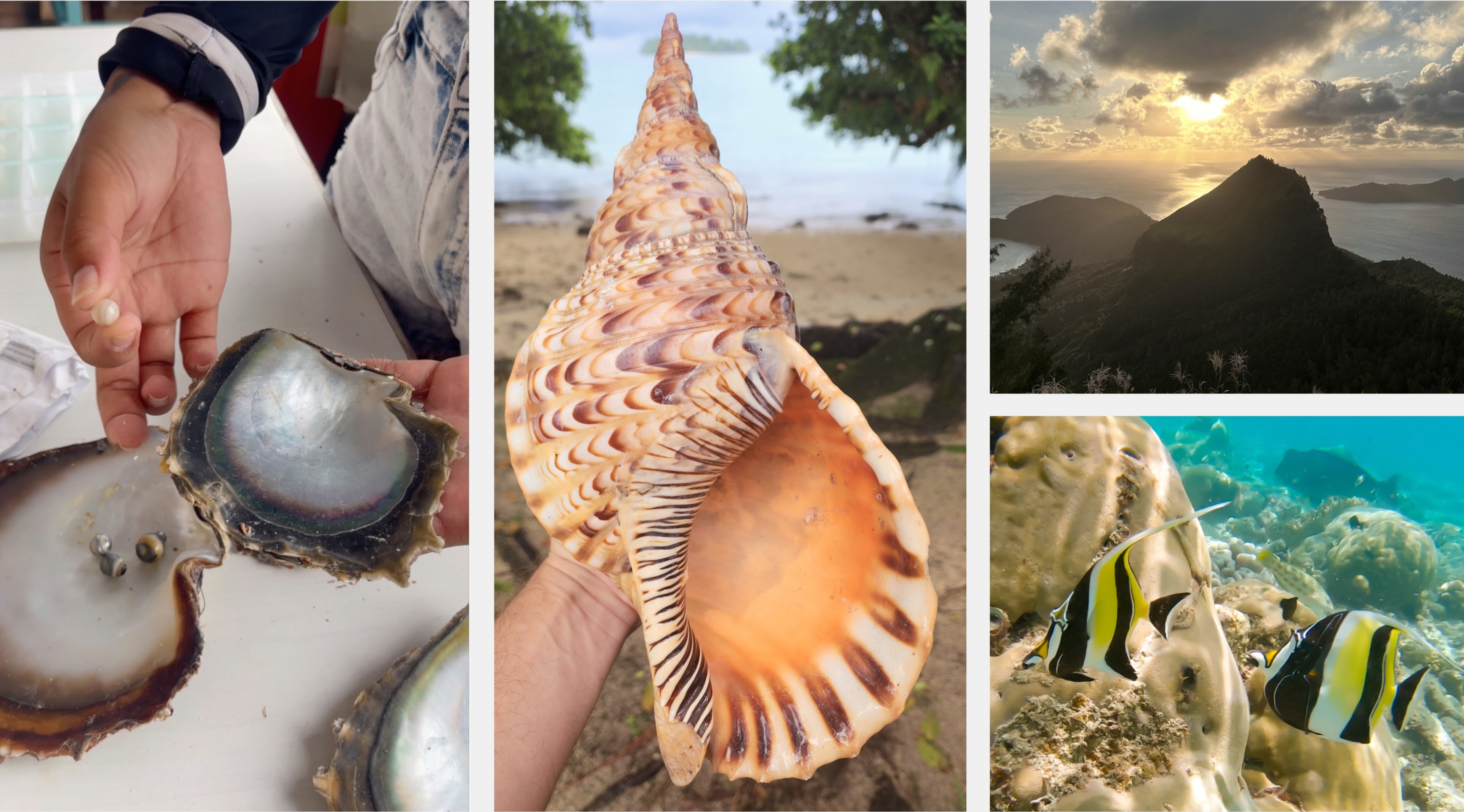 Beyond fishing in French Polynesia — mountain sunset, coral reef, and Tahitian black pearl necklace