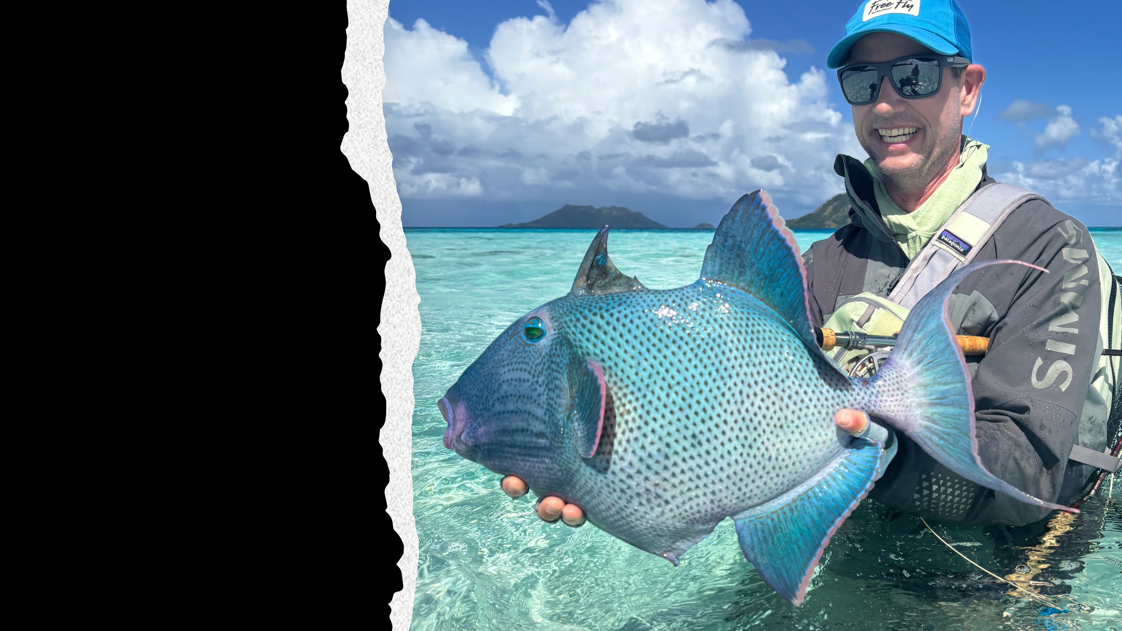 Blue Triggerfish — the ultimate challenge on the flats requiring stealth, precision, and patience