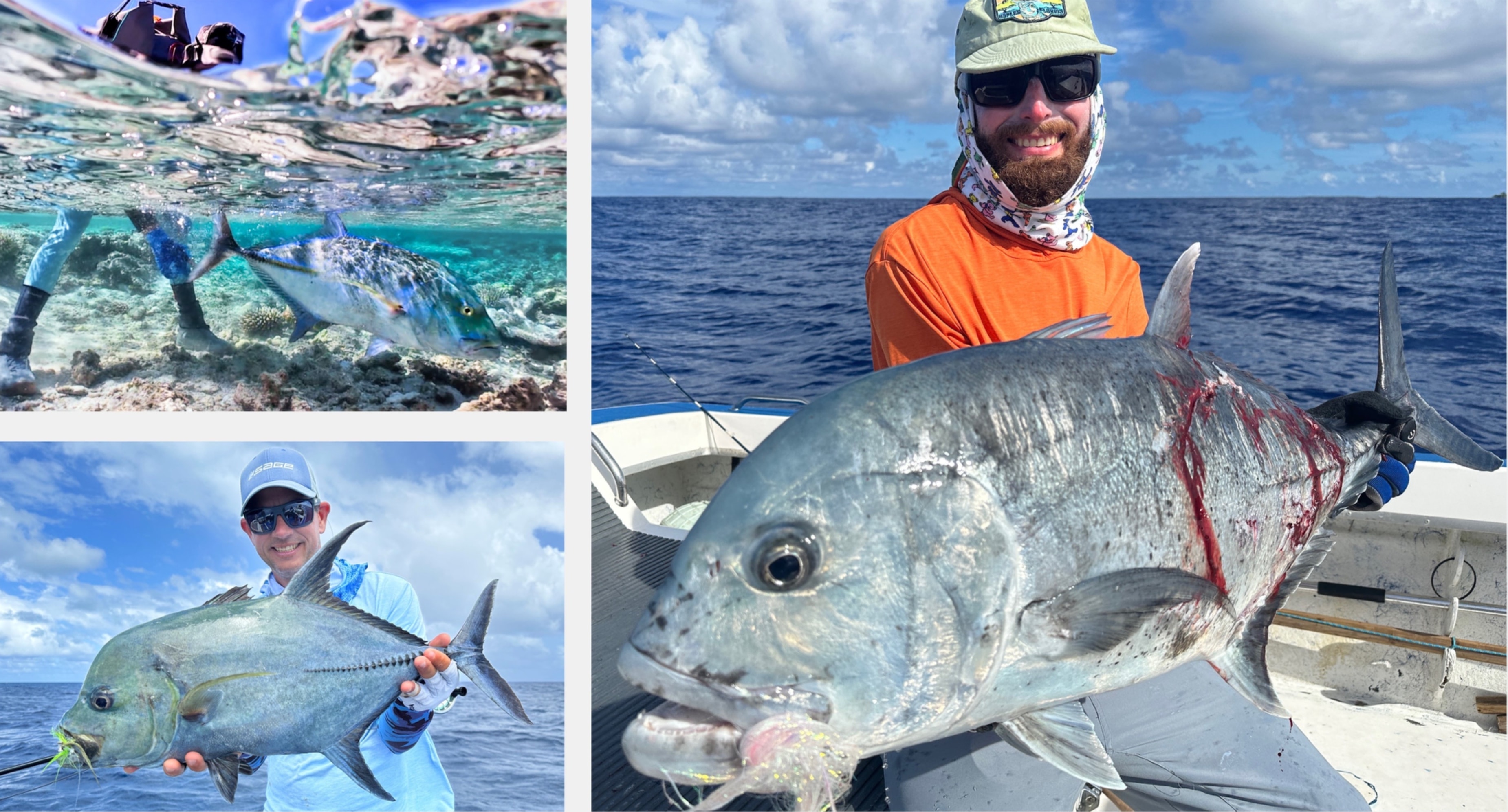 Trevally on fly in French Polynesia — giant trevally and bluefin trevally caught on the flats and reef