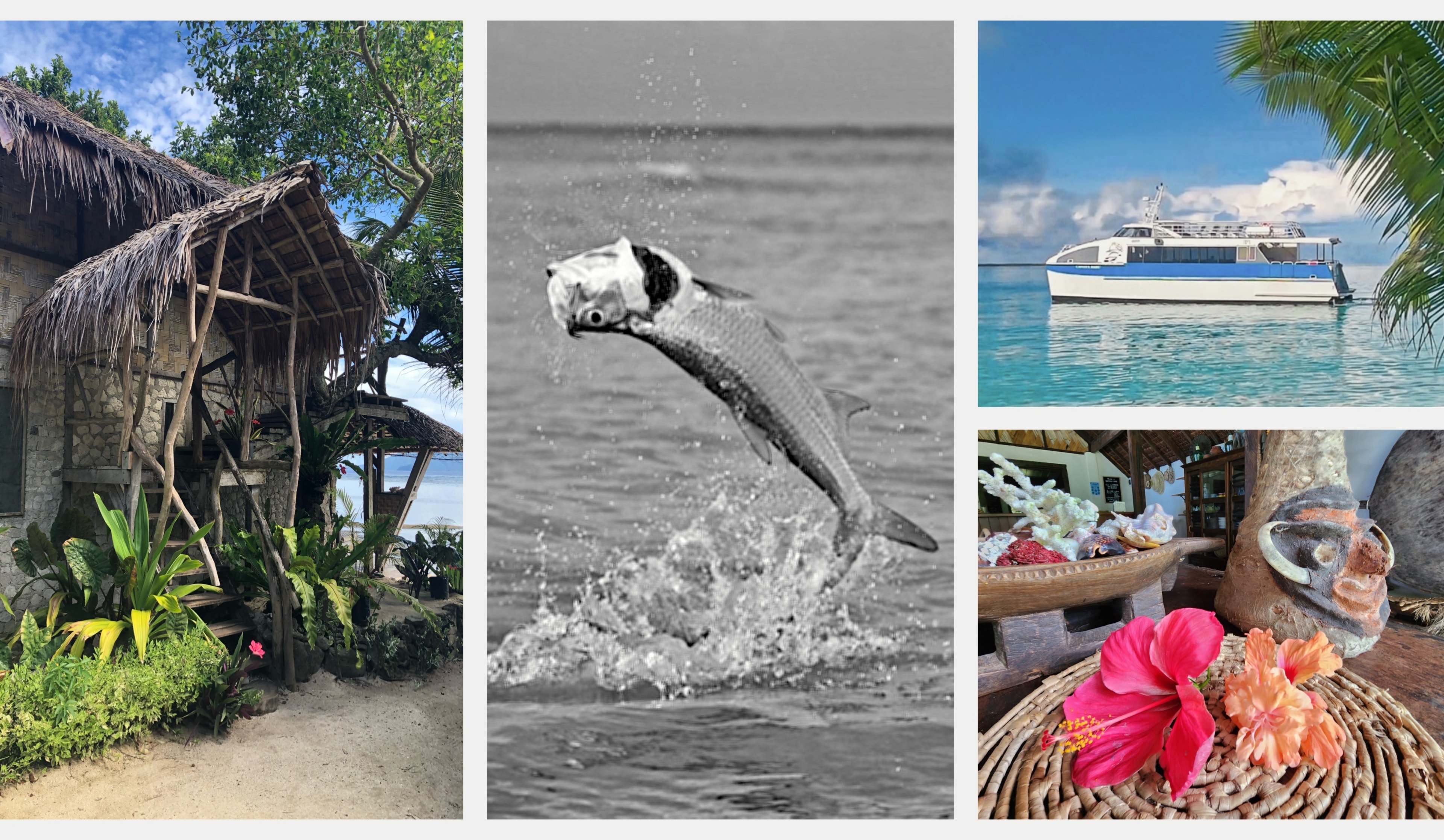 Endless Quest fishing adventures collage — overwater bungalow on a tropical beach, bonefish leaping from the water, expedition boat in turquoise lagoon, and local island culture with hibiscus flowers