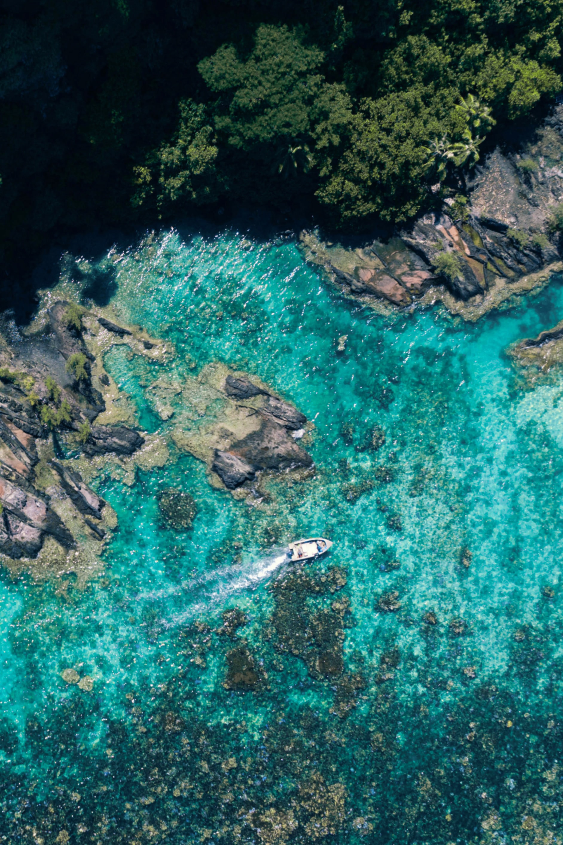 Aerial view tropical reef fly fishing