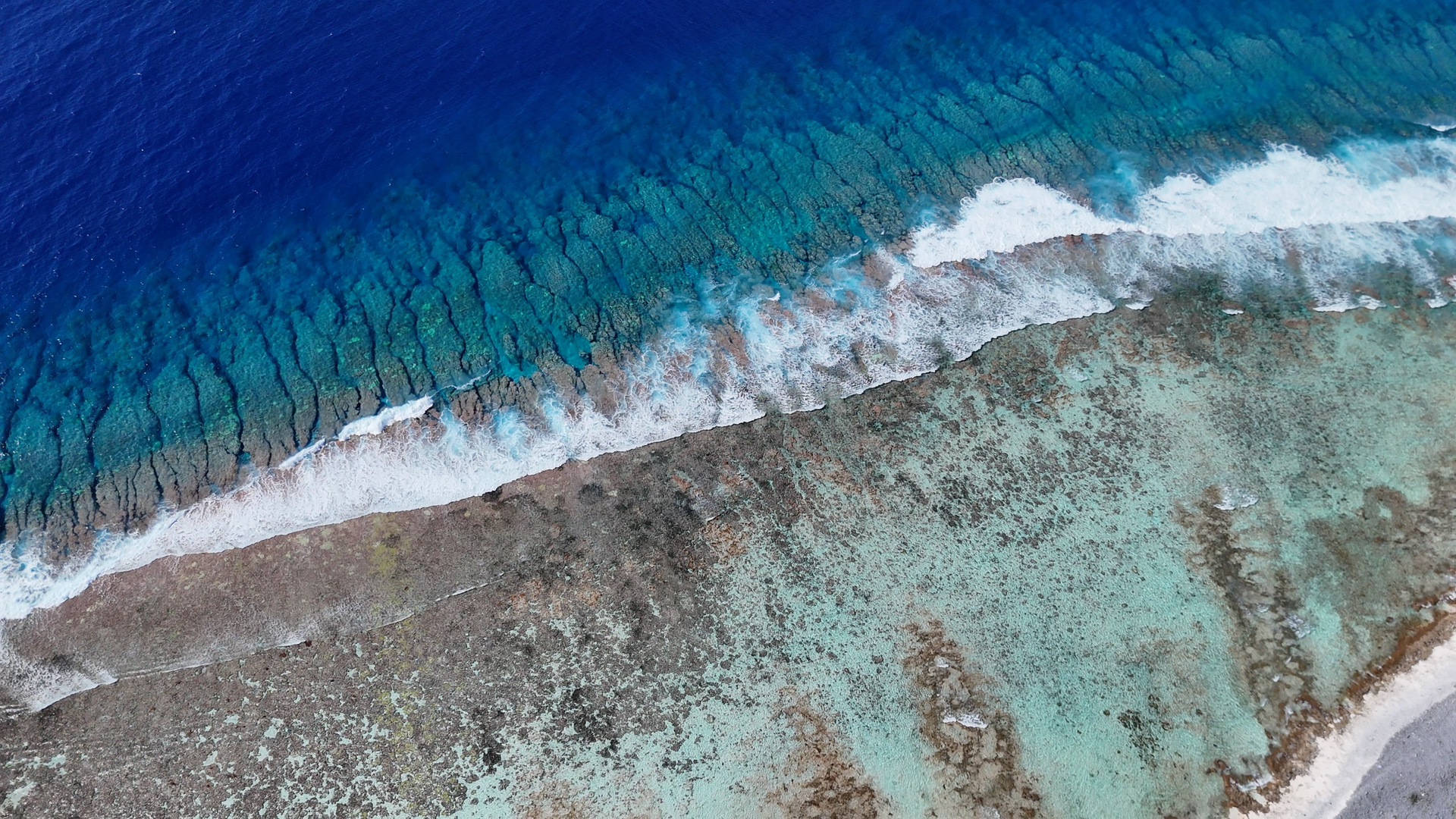 Saltwater fly fishing French Polynesia — sight fishing for bonefish, trevally and triggerfish on tropical flats