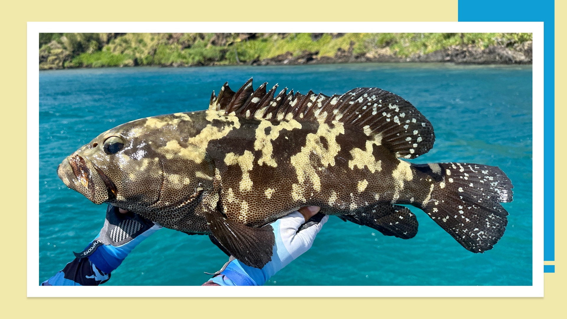 Fly Fishing the South Pacific — Endless Quest expeditions to the world's most remote waters