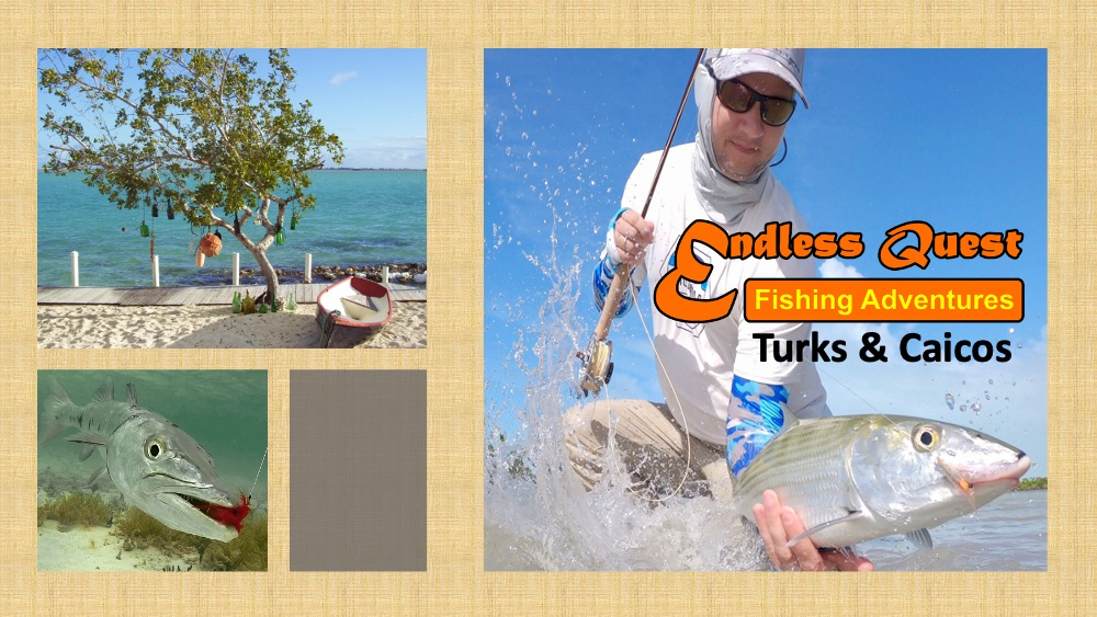 Endless Quest Fishing Adventures - Turks & Caicos