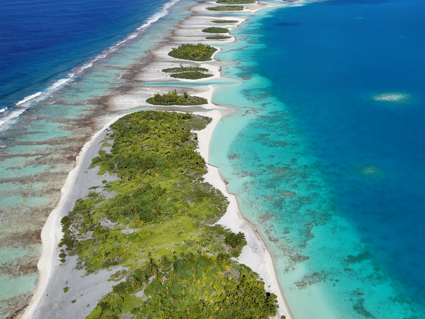 Tuamotu atoll fly fishing — giant trevally and bonefish on the pristine flats of the Tuamotus, French Polynesia