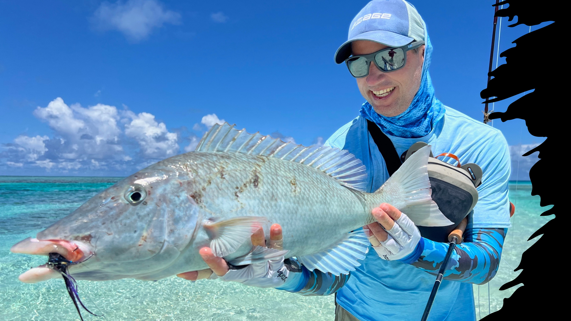 Species Diversity French Polynesia — from bonefish to Napoleon wrasse across flats and reef